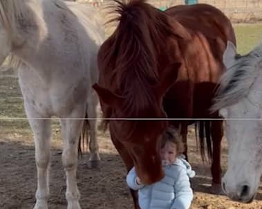 Sixteen-month-old has a heart-warming interaction with horses.